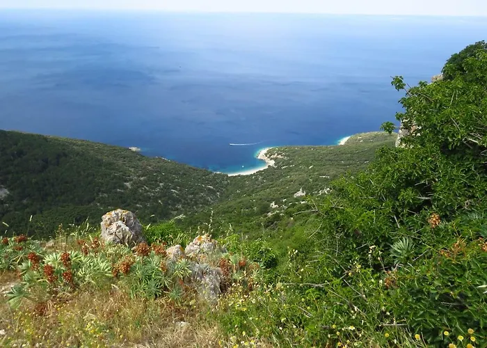 Apartman Biba