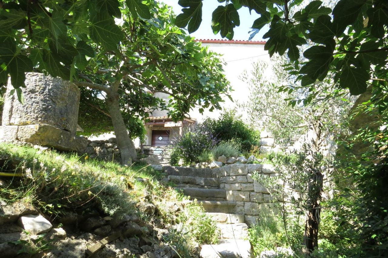 Apartment Biba
